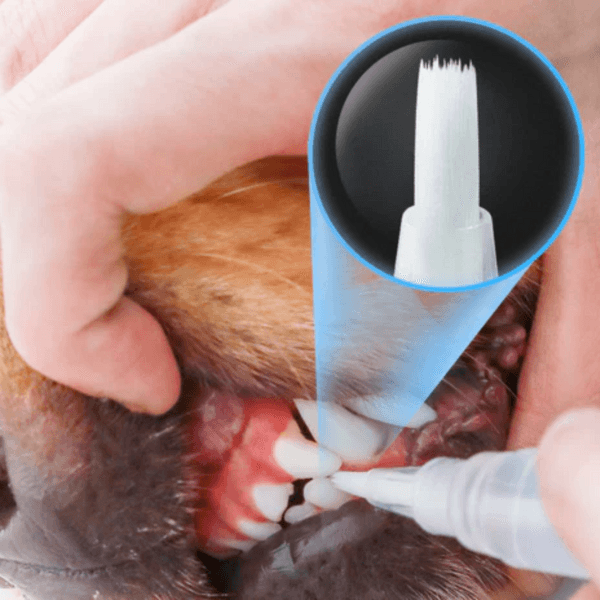 Caneta de cuidado dental para Pets | Clean Breath Pet - Figma Store